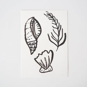 A print from an original ink drawing of shells and fauna found on the beach by Meg Fartharly