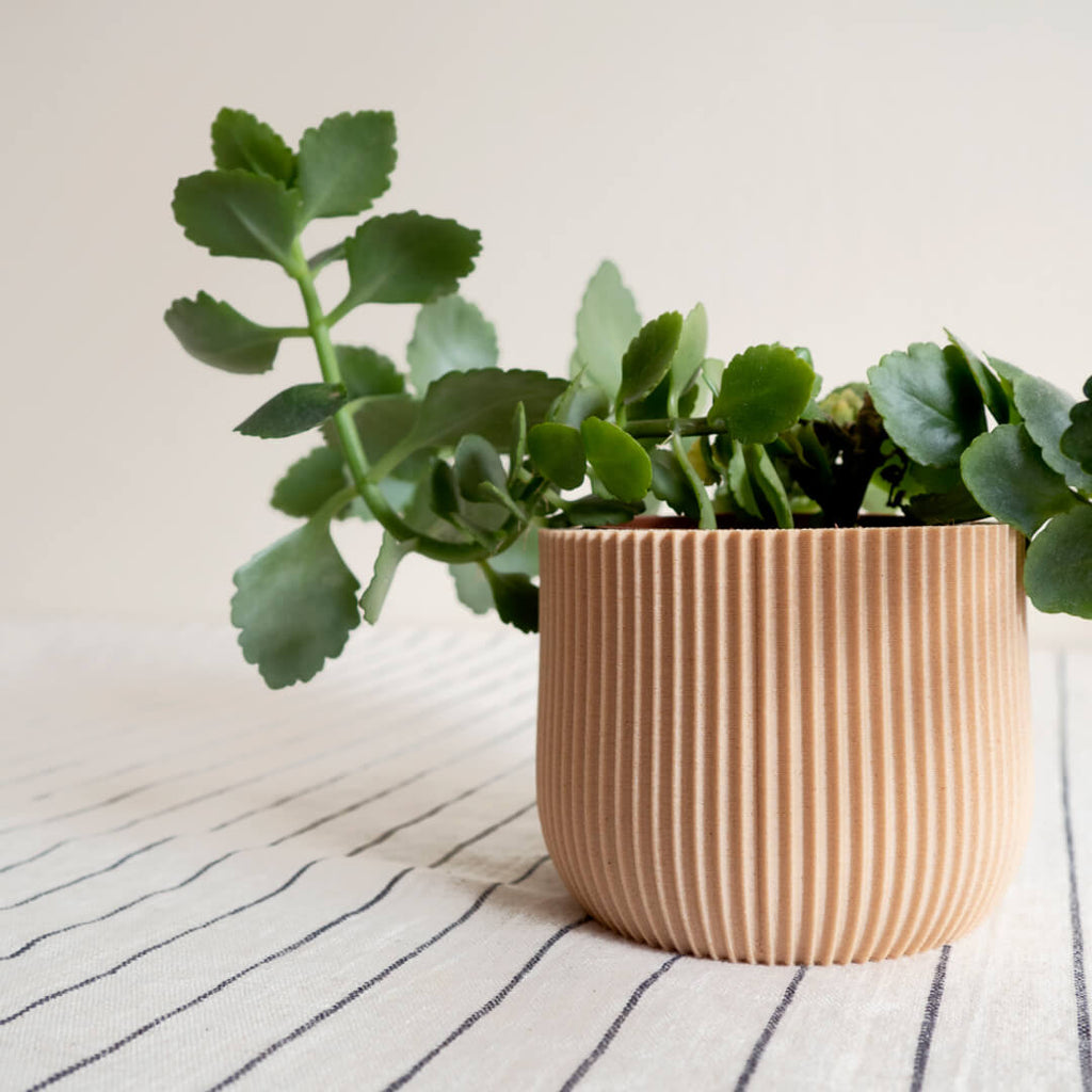 Lotus Planter | Curious Makers