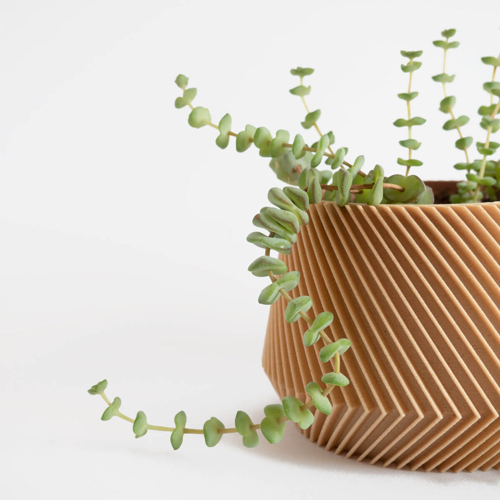 Oslo Planter | Curious Makers