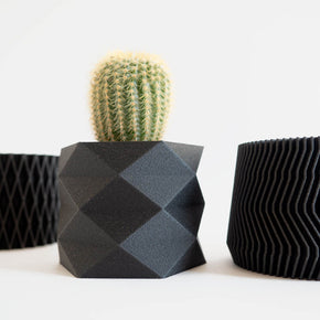 Close up of the set of three mini black diamond planters with a cactus inside.